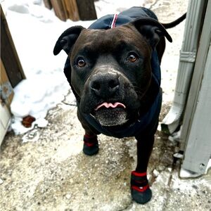 Meet your Posher, RJ